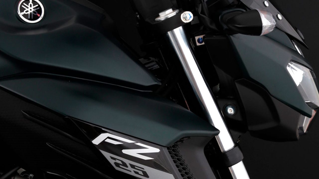 FZ_Verde_Negro01