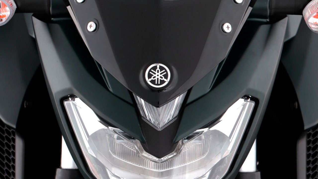 FZ_Verde_Negro02